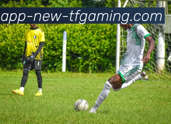 雷火电竞APP平台生态图